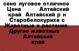 сено луговое отличное › Цена ­ 500 - Алтайский край, Алтайский р-н, Старобелокуриха с. Животные и растения » Другие животные   . Алтайский край